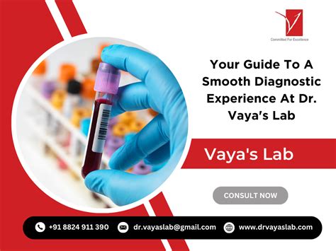 VayaLab .